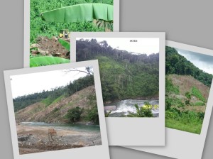 Charco La Pava será parte del Sitio Presa del Proyecto Hidroeléctrico Changuinola I o Chan 75